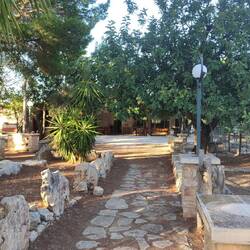 View from the restaurant