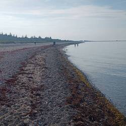 Auch hier ruhiges Wasser und steiniger Strand