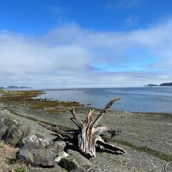Port Hardy