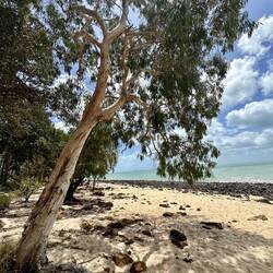 Mutee Beach