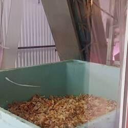 Chips, chips, chips. You get a bag full of plain ones at the end, warmed