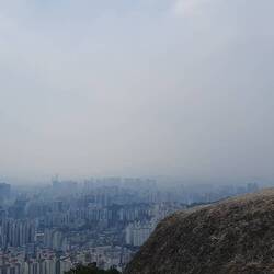 Kenn ihn nicht, war aber ein gutes Fotomotiv 😅