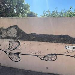 Für die einen ein Drache, für die anderen ein Fisch...