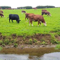 Always something to see