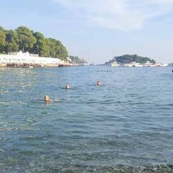 Wer findet die Schwimmenden?