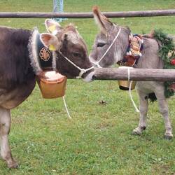 ...andere nur liebenswert!