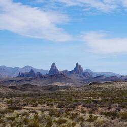 Bei der Ausfahrt aus dem Big Bend Nationalpark