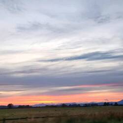 Scottish Sunset - Blair Drummond