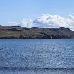 Is that a sea monster?