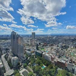 View from the Tokyo Metropolitan Government Building