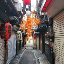 Alley in Omoide Yokocho