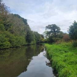 View from the bow, it was so quiet except for the birds.
