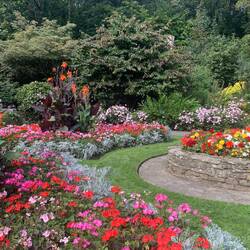 So many of these lovely flower beds