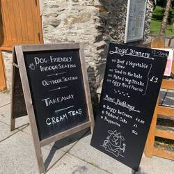 The Brits seem to love their dogs