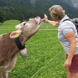 ....und die auch nicht...