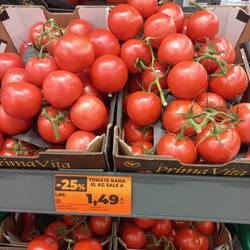 The tomatoes are large and cheap. The taste is incredible full of flavour and sweetness.