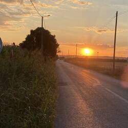 Sunrise on Day 6. Example of road walked on for 9km