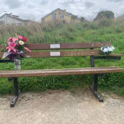 Lots of benches over looking the ocean, some with flowers