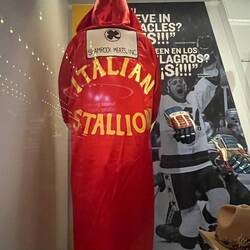 Rocky's dressing gown