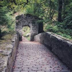 The bridge at the Hermitage. We had a great view of the falls