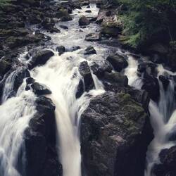 The falls at the Hermitage