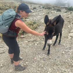 Ziegen, Esel, Schafe, Pferde... alles läuft frei herum. Aber nur Babyesel wollte Gesellschaft 🥰