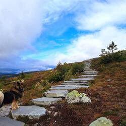 Und zurück... auch nur Stufen