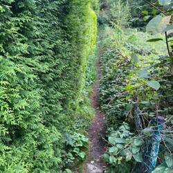 Durch diese schmale Gasse muss er gehen