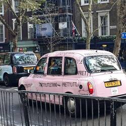 Roserots Einhorntaxi