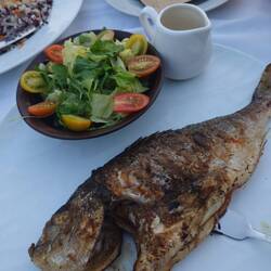 Sea bream - Well this one won't bite anyone else lol