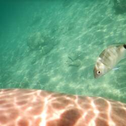 going formy arm now!