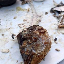 Ha ha I feel good having revenge on the fish lol