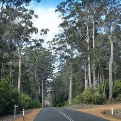 Heading into big timber country