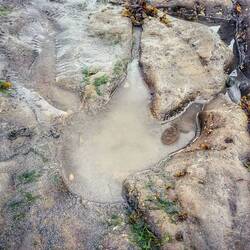 We went to a beach with dinosaur footprints.
