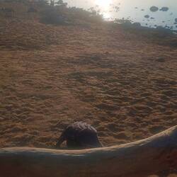 Zurück am Strand zum Lesen bis die Sonne untergeht