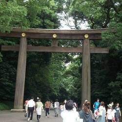 The big torii at the main entrance to Meiji Shrine.