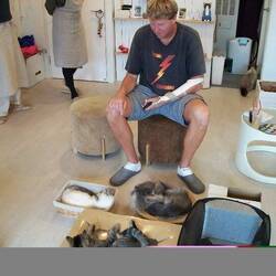 Jeff in kitty heaven at the cat cafe.