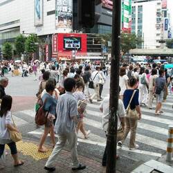 The world's busiest pedestrian crossing, Shibuya.
