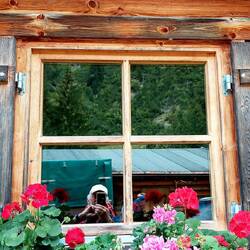 Hofhütte auf 1310 m!