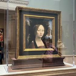 de Vinci (only one in USA)