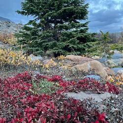 Langsam wird es Herbst :-)