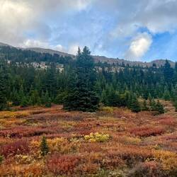 Langsam wird es Herbst :-)