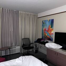 Favorite place to perch--Hilton Garden Inn