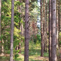 Wir laufen zur Panga Steilküste