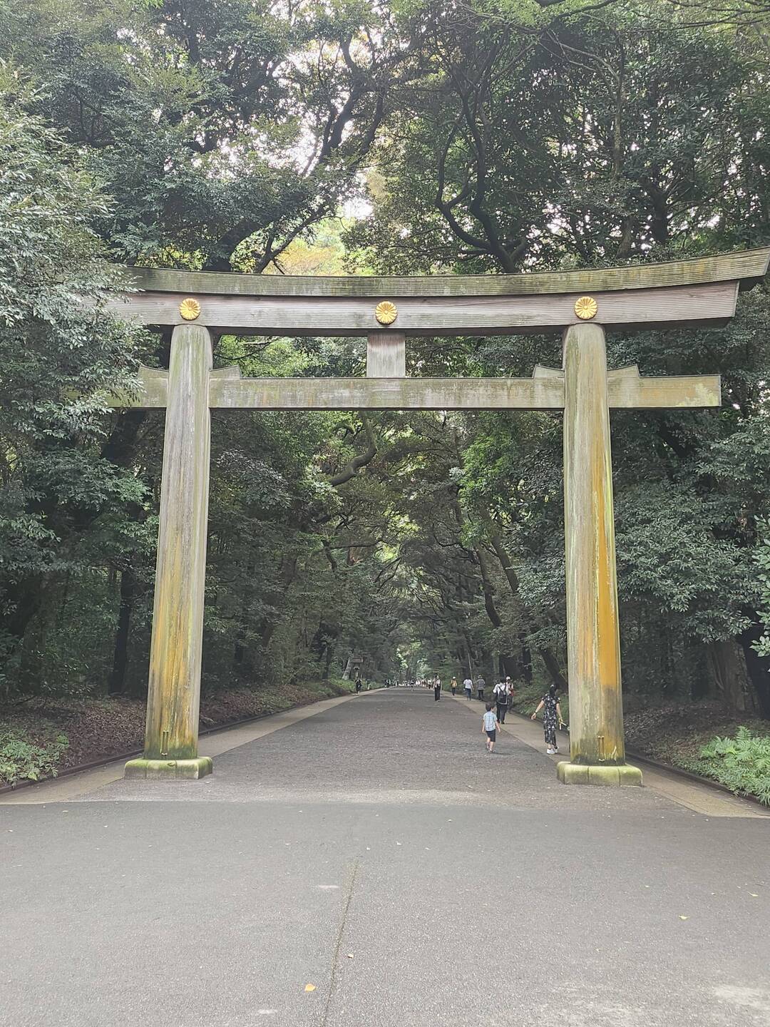 One of many large Tori Gates in the area