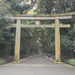 One of many large Tori Gates in the area