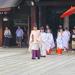 Wedding Party