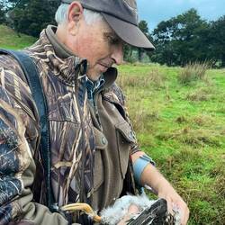 David hat eine Ente geschossen