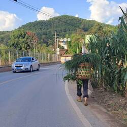 Später gut gefüllt den Berg hinauf