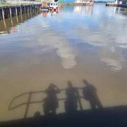 Shadows mean the sun is shining!